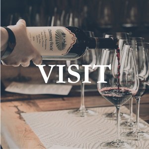 Visit