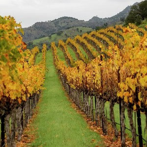 Chimney Rock leads the way in Napa Green initiative to eliminate Roundup