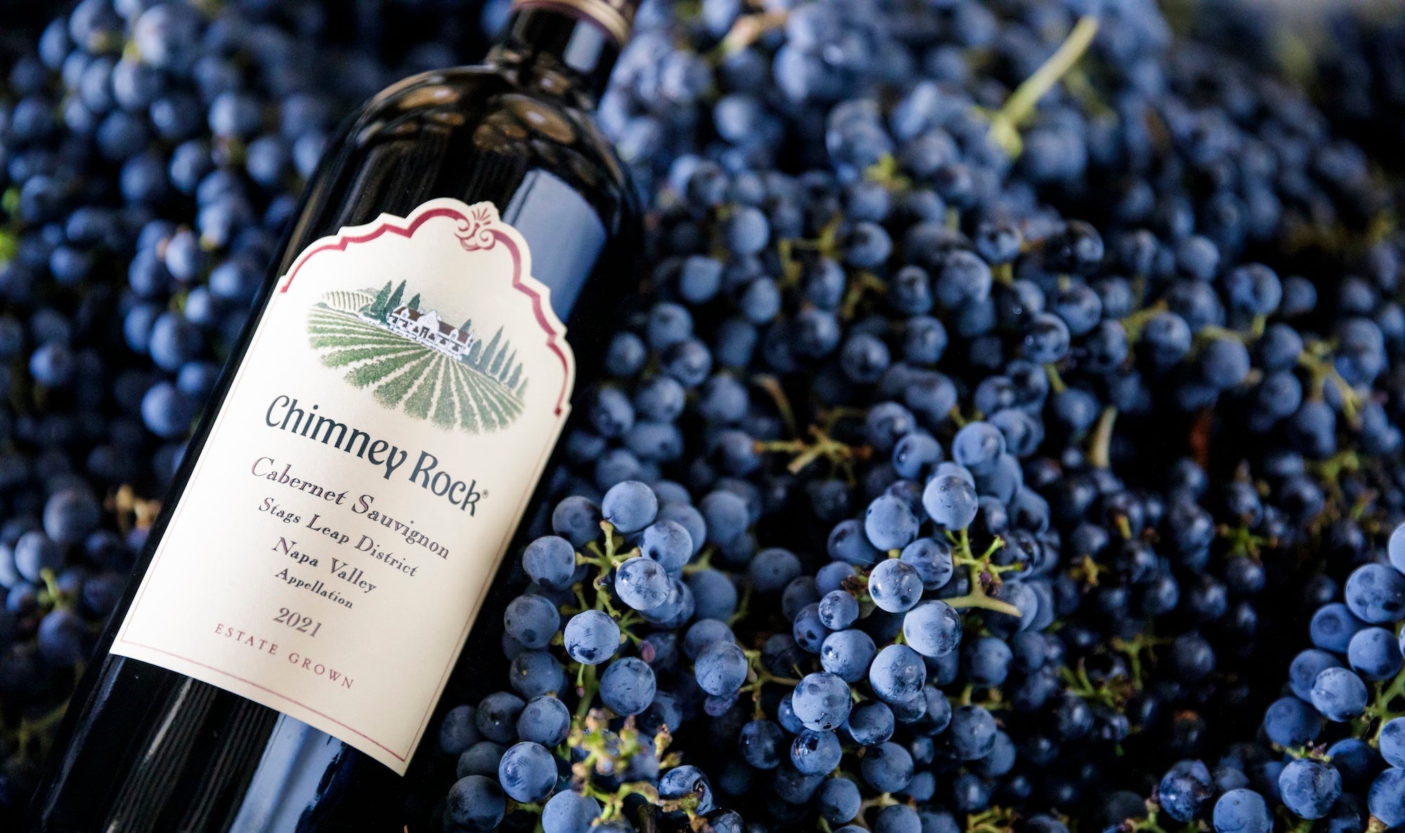 Discover Our Wines